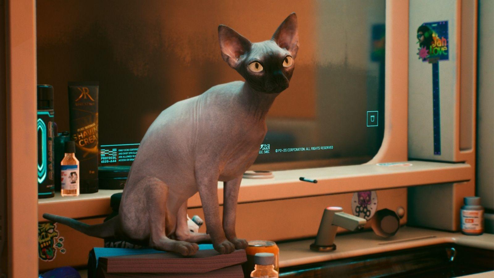 Cyberpunk cat header