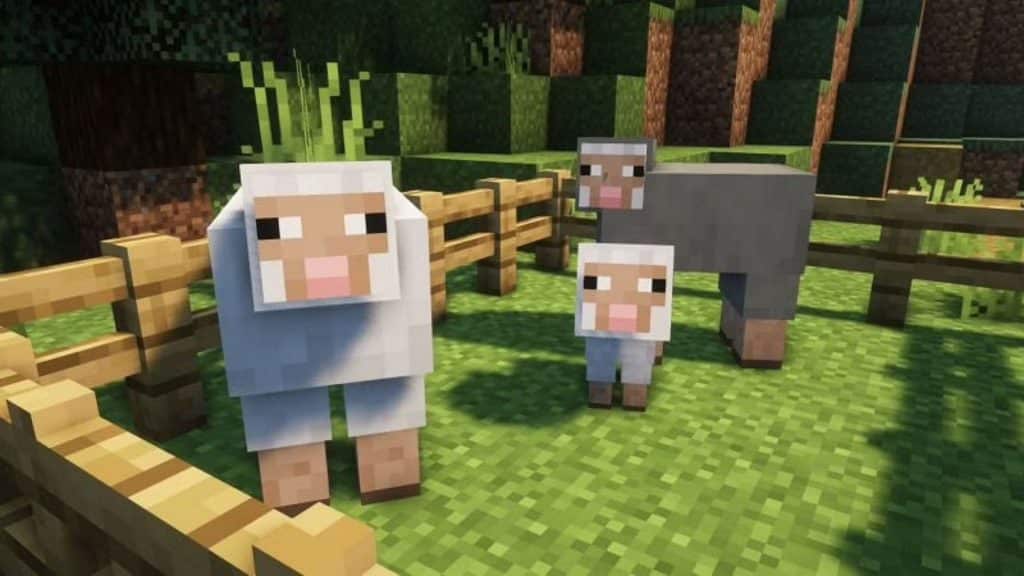 Minecraft sheep in a pen